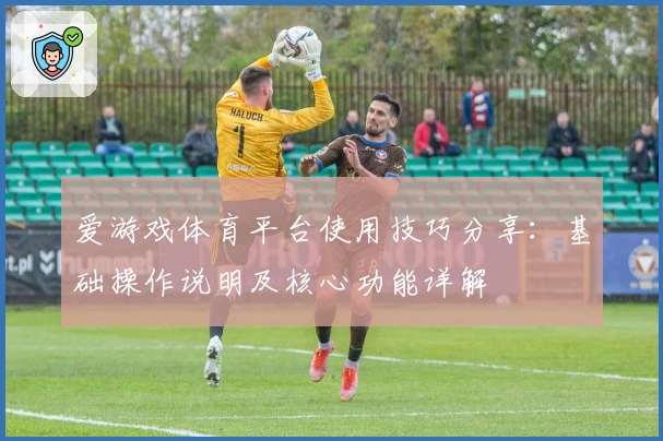 爱游戏体育平台使用技巧分享：基础操作说明及核心功能详解