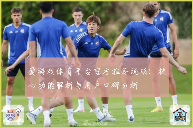 爱游戏体育平台官方推荐说明：核心功能解析与用户口碑分析