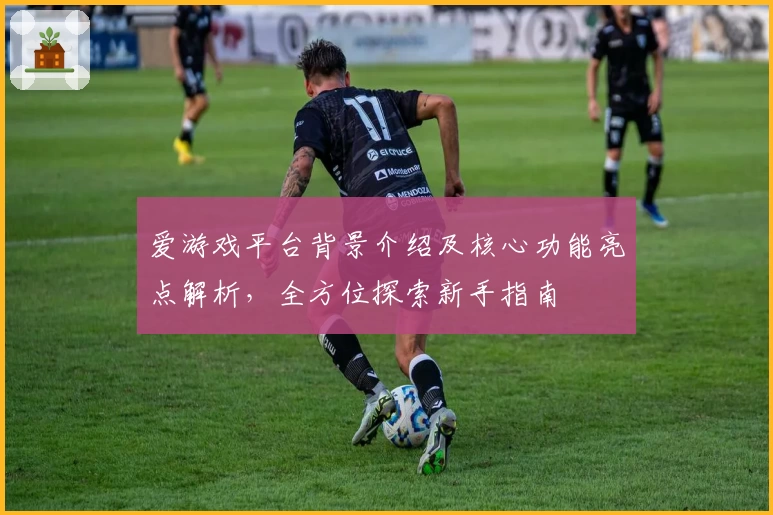 爱游戏平台背景介绍及核心功能亮点解析，全方位探索新手指南